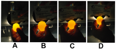 Figure 4. The use of the USDA air cell gauge to determine air cell depth in eggs. A) Grade AA egg with an air cell depth under the 1/8th inch allowed. B) Grade A egg with an air cell depth greater than the 1/8th inch allowed. C) The same Grade A egg with Figure 4. The use of the USDA air cell gauge to determine air cell depth in eggs. A) Grade AA egg with an air cell depth under the 1/8th inch allowed. B) Grade A egg with an air cell depth greater than the 1/8th inch allowed. C) The same Grade A egg with
