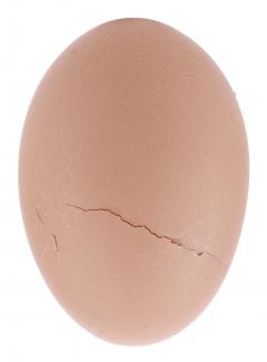 Figure 12. Cracked egg