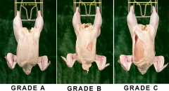 Figure 2 - Grading carcasses based on cuts and tears on the breast