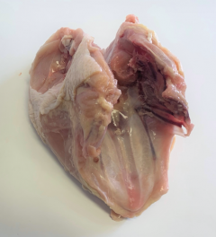 Figure 2. Breast with ribs.