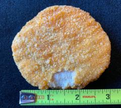 Figure 1. Chicken patty with continuous coating void greater than half an inch so has a coating defect.