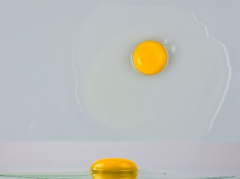 Figure 6. Grade B broken out egg.