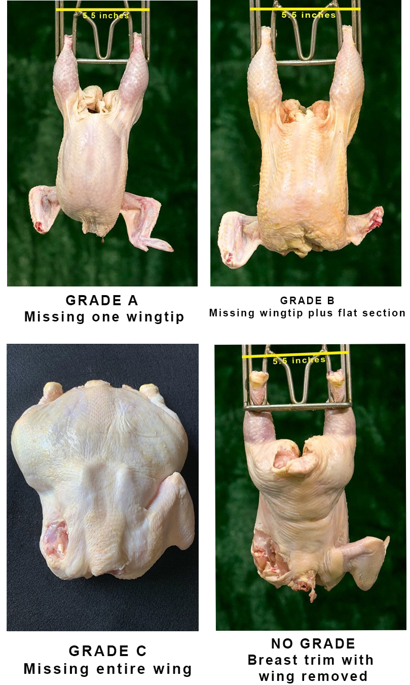 Figure 7 - Carcasses with different grades based on missing wing