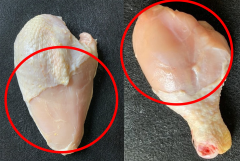 Figure 3. Grade C parts (breast quarter without wing on the left and drumstick on the right) with greater than 1/3rd of the flesh missing.