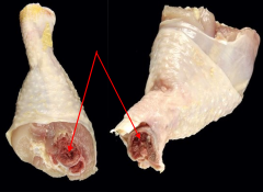 Figure 5. Grade C drumsticks based on cuts into the bone.