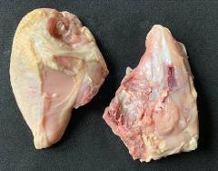 Figure 4. Breast quarter without wing