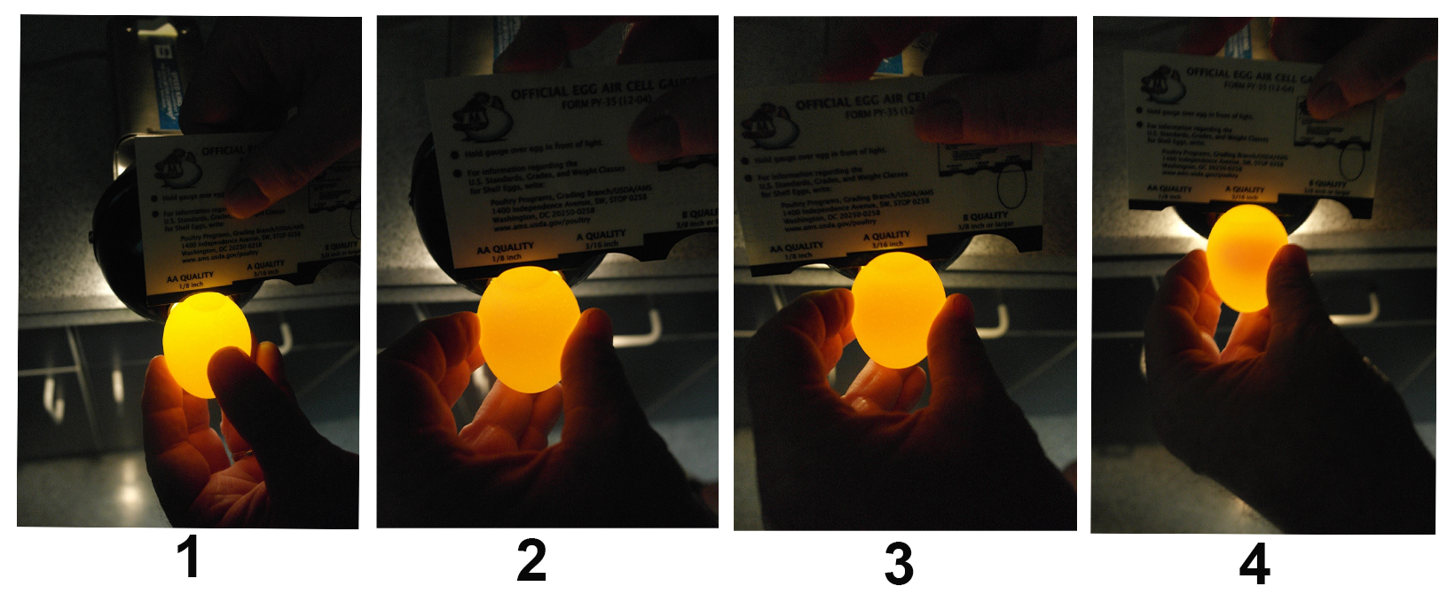 Figure 3. Use of the USDA air cell gauge to determine egg grade