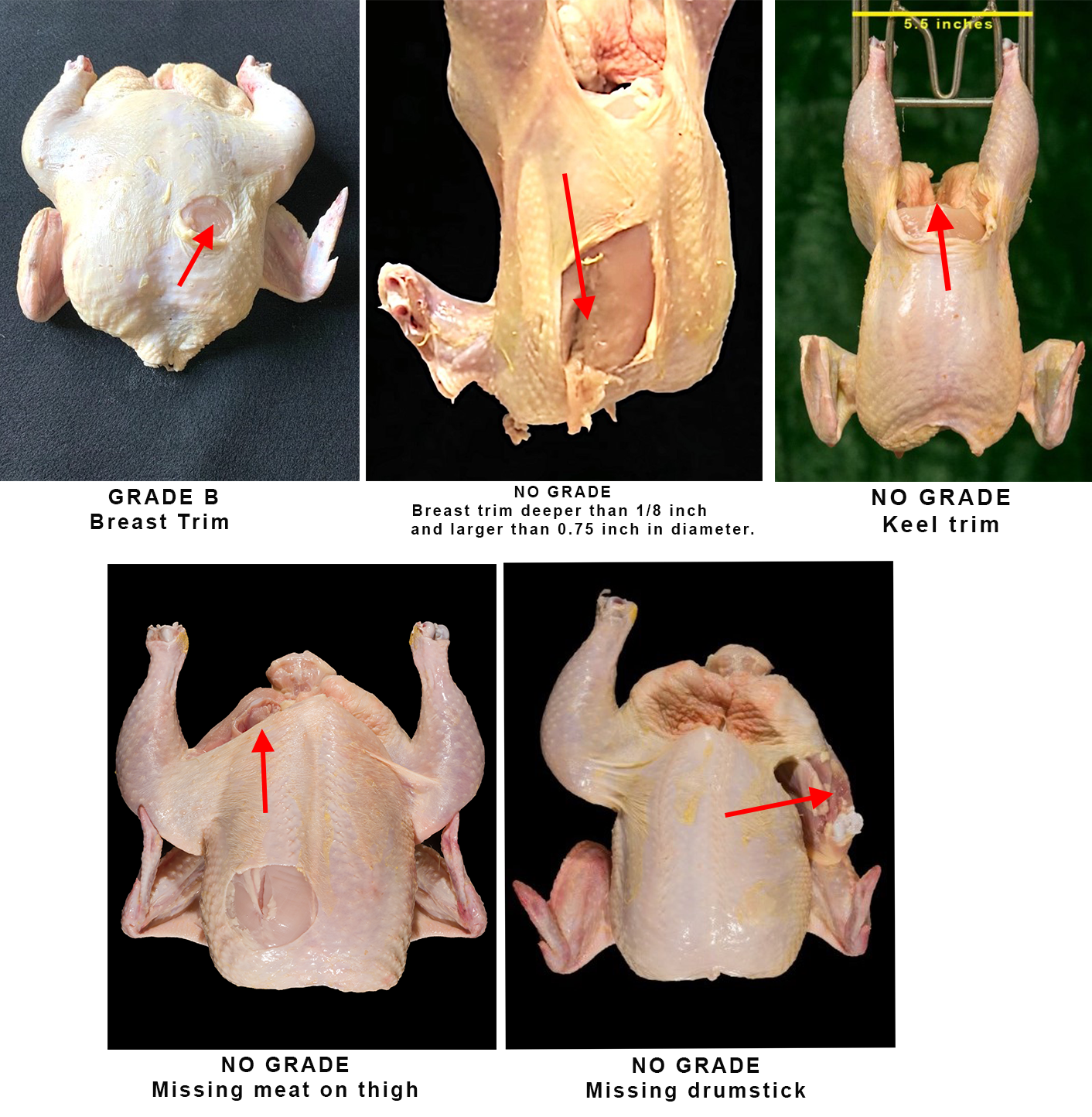 Figure 4. Different carcass grades based on meat trim where meat yield may be altered