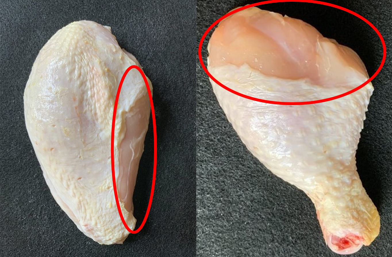 Marketpoultry-grading-parts-figure2.png | National 4-H Poultry And Egg ...