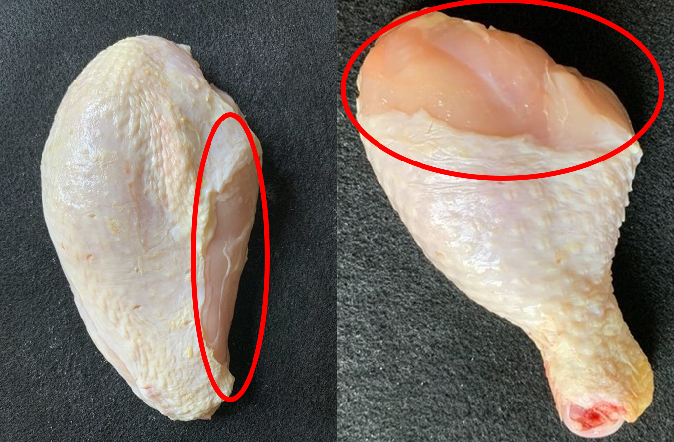 Figure 2. Grade B parts (breast quarter without wing on the left and drumstick on the right) because of excessive skin trim along the edges (more than ¼ inch but less than 1/3rd of the part).