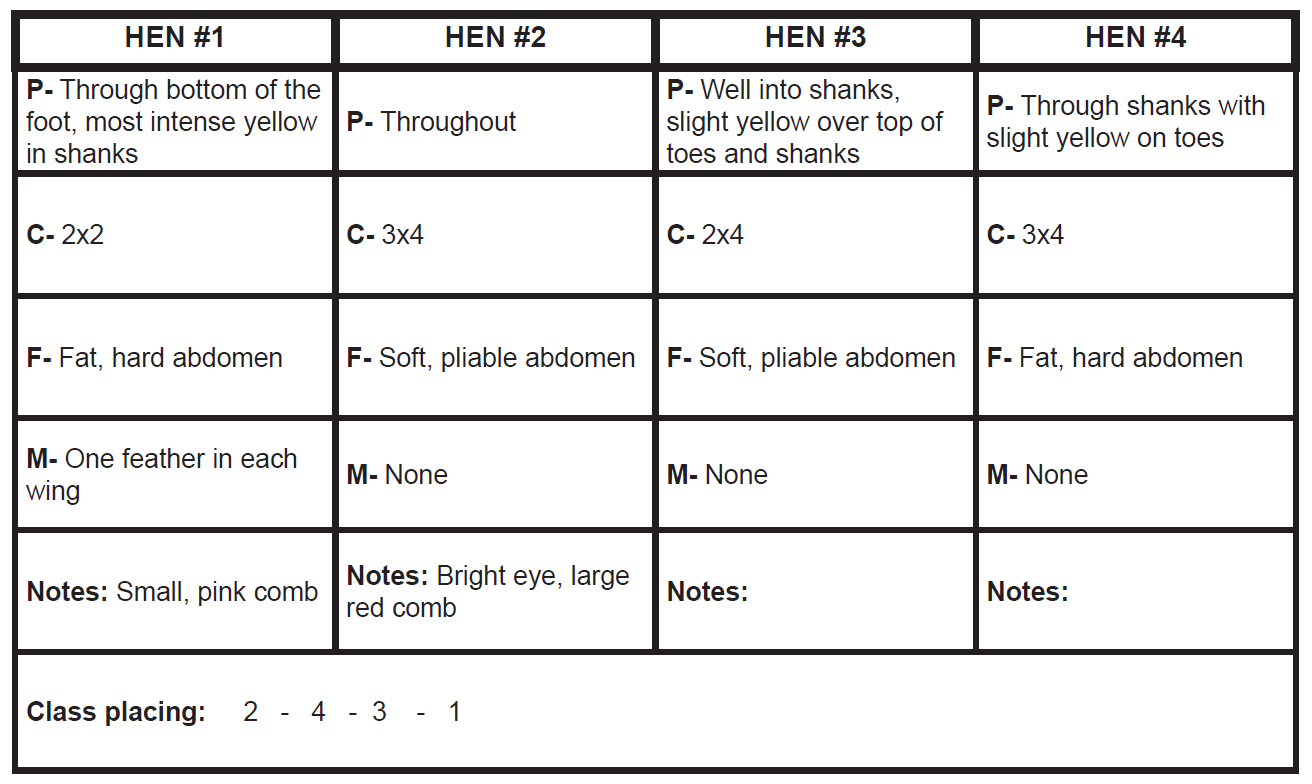 Example of a completed table while taking notes for past production hen evaluation